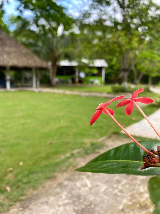 Eco Hotel Bosque Encantado Isla Grande  Luaran gambar